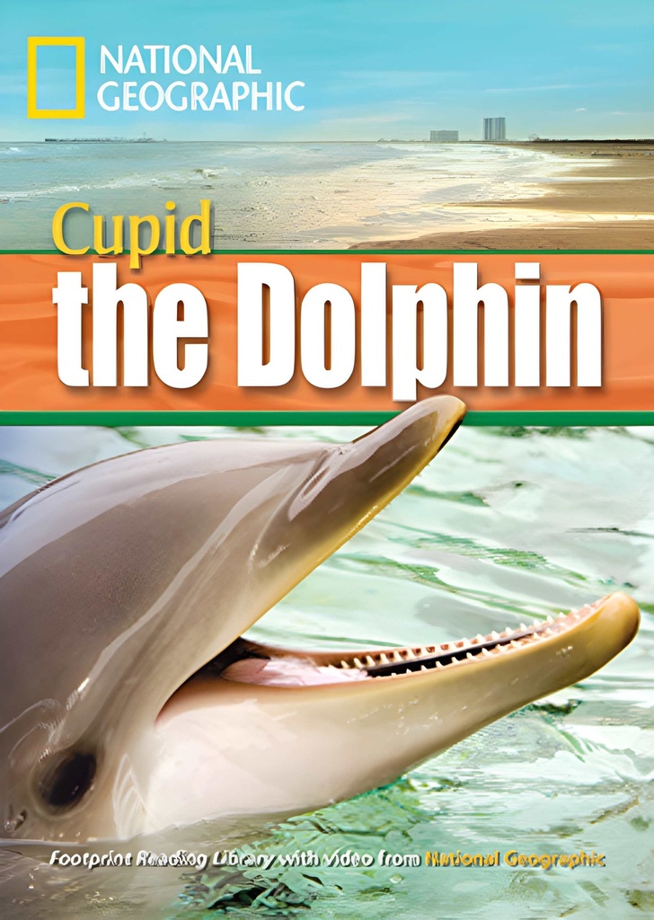 CUPID THE DOLPHIN (INTER) (A.E)
