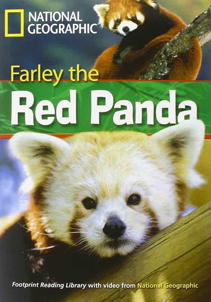 FARLEY THE RED PANDA (PRE-INTER) (A.E)