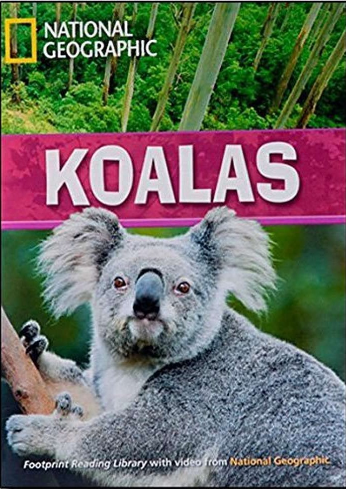 KOALAS (ADVANCED)