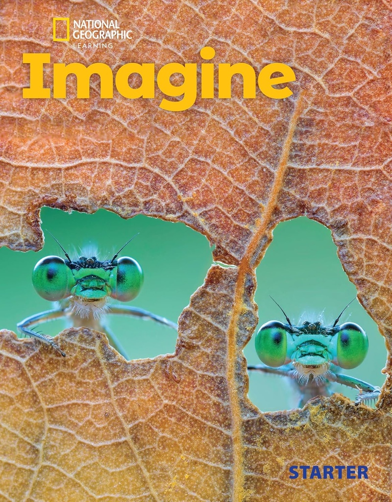 IMAGINE STARTER SBK+SPARK PLATFORM (US ED)